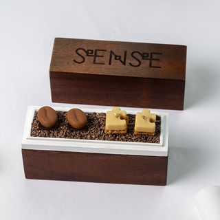 SENSE - 11