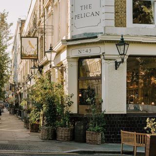 The Pelican - 6