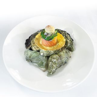 Krone Schlier - 1