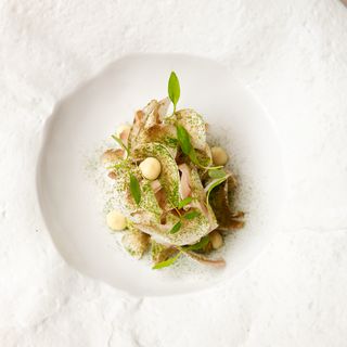 Gemellus - Paris - 14