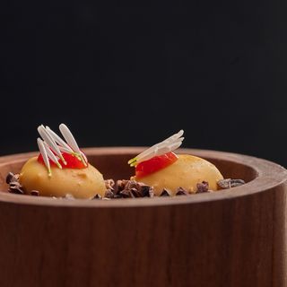La Sorgente - 6
