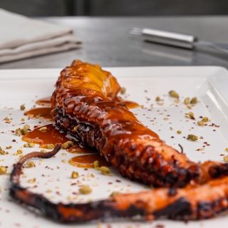 Calipso Fish - 5