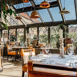 The Pheasant - 6