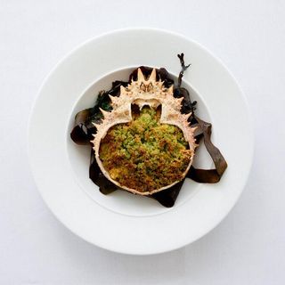The Seaside Boarding House - 10