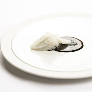 Zostera - Paris - 9