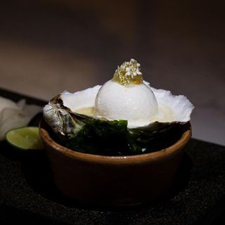 Crudo - 11