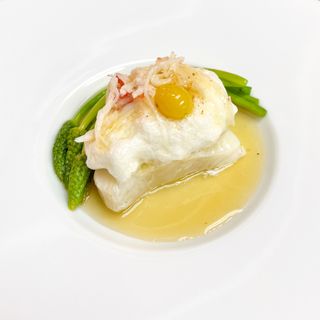 Cilantro - 5