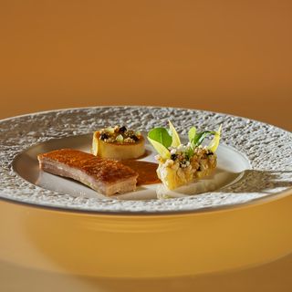 Il Gallo d'Oro - 16