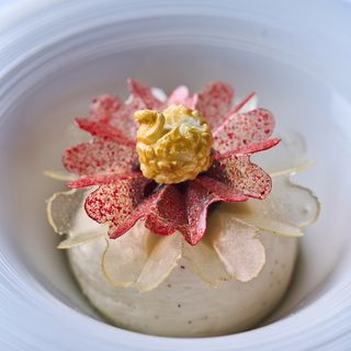 La Côte d'Or - 13