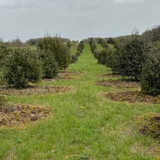 La Table des Merville - 5