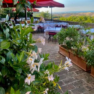 Osteria dell'Accademia - 10