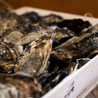 Brasserie Fiston - 8
