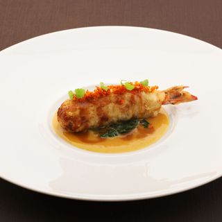 Saucer - 7