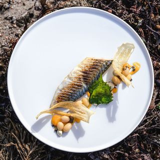 Nori - 5