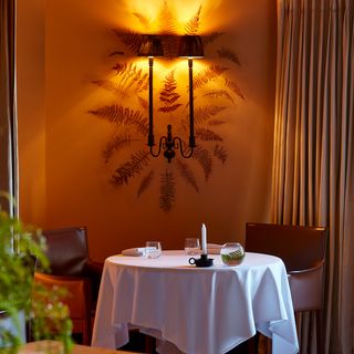 Fernery - 15