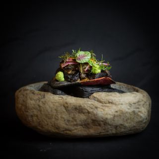 Teocintle-Tika'aya - 0