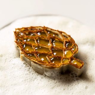 Olio - 8