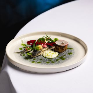 Oyster - 3