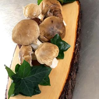Au Bœuf Noir - 3