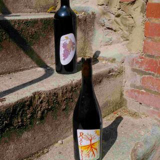 Cantine et Canons - 4