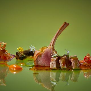 Il Gallo d'Oro - 23