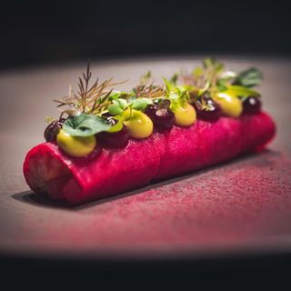 Enigma Yorkville - 9
