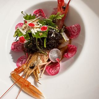 Il Giardino del Gusto - 14