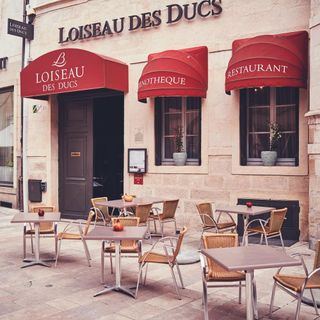 Loiseau des Ducs - Dijon - 5