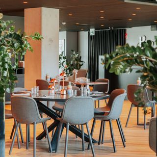 Bistro Berto - 7