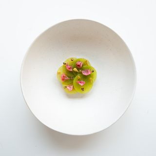 The Pescatarian - 8