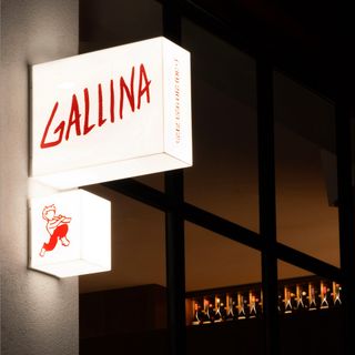 Gallina - 12