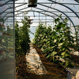 Au Pâturage - Espaces Gourmands - 1