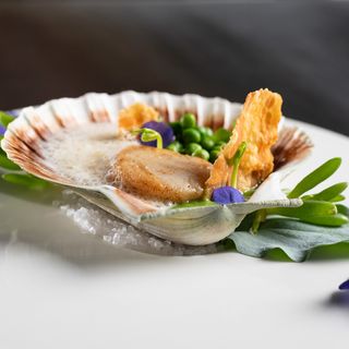 Restaurant Darwin - 0