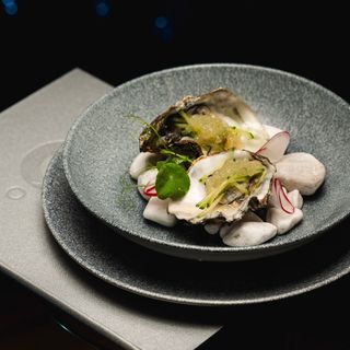 Oyster - 9