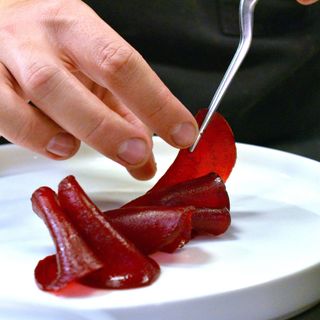 VIVO Gourmet - 10