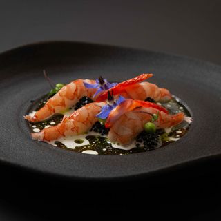 Cuculia - Firenze - 17