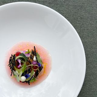 Wachter Foodbar - 2
