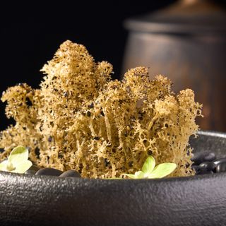 Wuwei Natural Food - 7