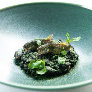 il Centrino - 13