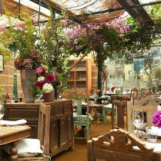 Petersham Nurseries Restaurant - 16