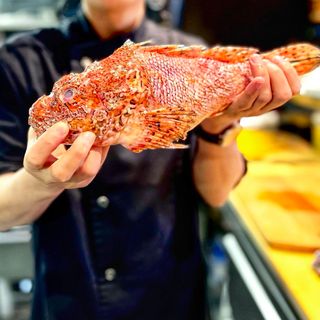 Nami Beef and Reef - 10