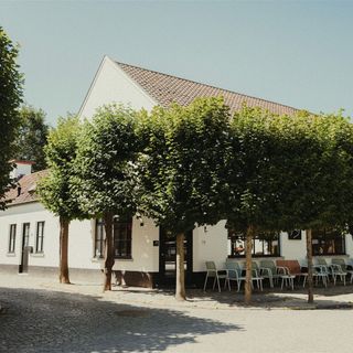 Amici - 6