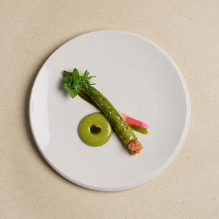 Zostera - Paris - 1