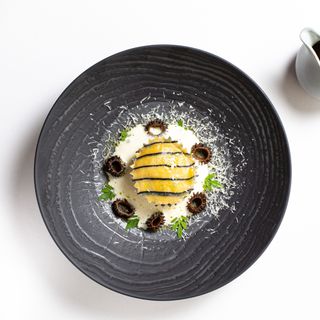 Olive Tree - Bath - 4