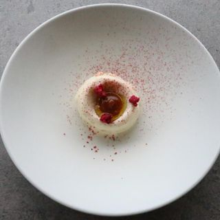 Palate - 3