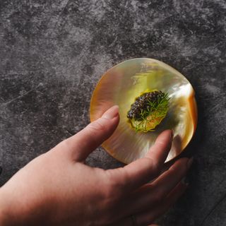 Morston Hall - 7