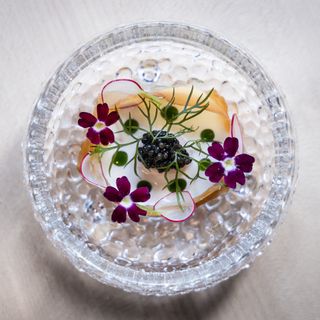 Finnjävel Salonki - 1