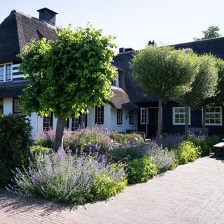 De Lindenhof - 10