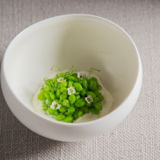 Giada Garden - 17