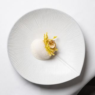 Mâche - 6